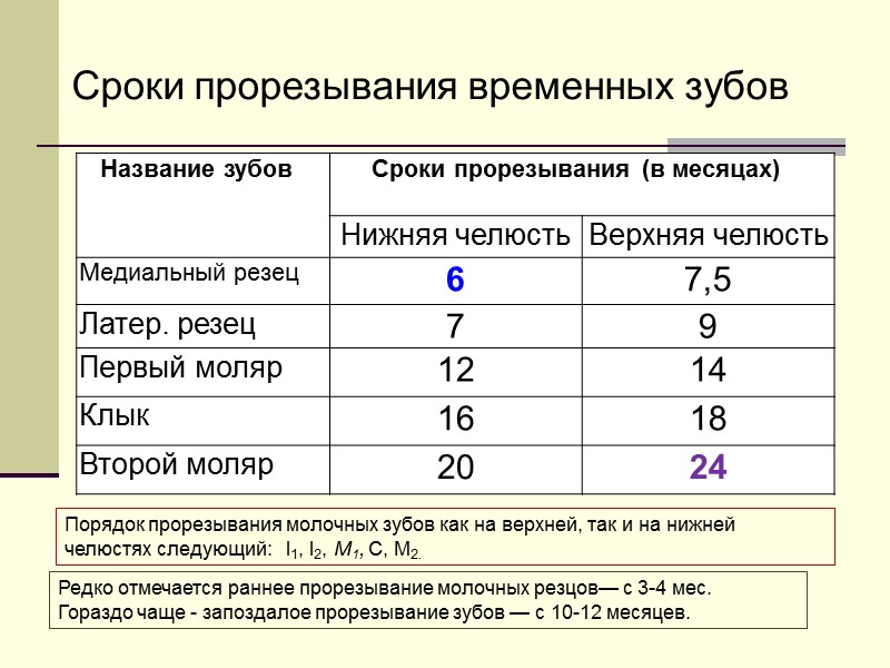 Сроки прорезывания временных зубов  Порядок прорезывания молочных зубов как на верхней, так и